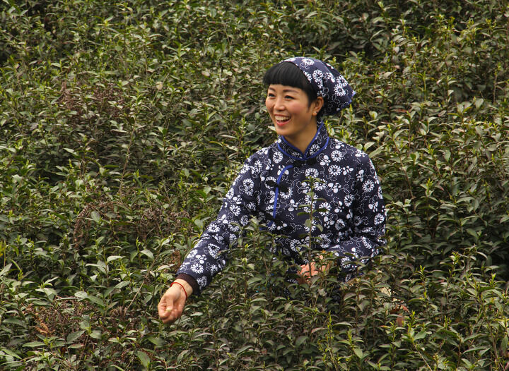 183间房主播跳舞 直播1